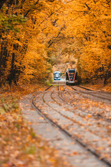 Tram in the autumn forest