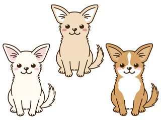 色々な毛色のチワワ