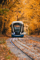 Tram in the autumn forest