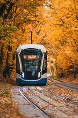 Tram in the autumn forest