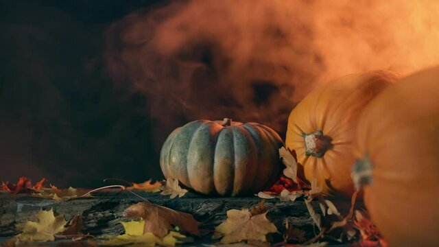 Pumpkins and leaves. Moving fog in slowmotion.