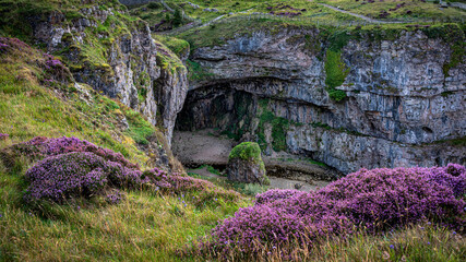 Heather on the cliffs above Smoo Cave near Durness it has one of the largest sea cave entrances in Britain. The main cavern is over 50 feet high. The cave is located on the popular NC500 driving route