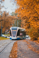 Tram in the autumn forest