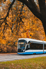 Tram in the autumn forest