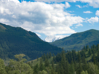 Fototapeta na wymiar Mountain peaks of low altitude on a background of blue sky