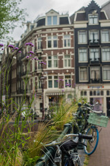 flowers in the Amsterdam canals and streets 
