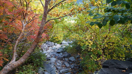 涸沢カールからの風景