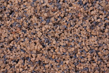 Extreme close-up of fine-grained fraction of facade plaster with texture