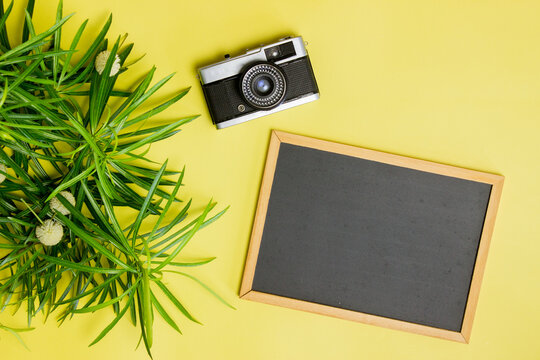 A cemera with leaves and blackboard over the yellow background. 