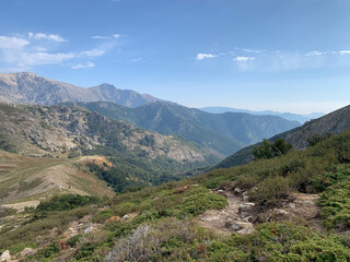 Fototapeta na wymiar Montagnes corses descente vers Vizzavona