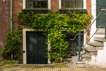 Fototapeta na wymiar old brick house with green ivy