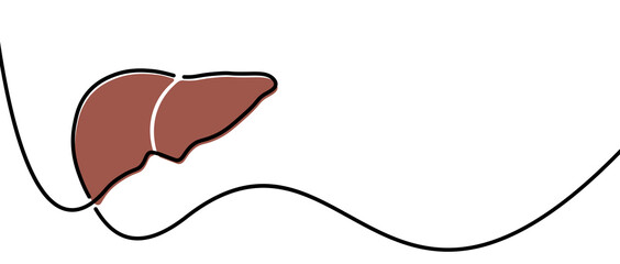Single line drawn brown liver outline..