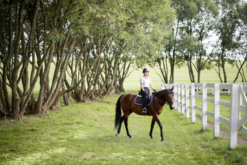 Female horseman riding brown Thoroughbred horse in green meadow in countryside. Concept of rural...
