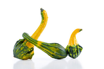 A selction of five gourds, assorted colours and shapes shot landscape orientation on white background with natural reflection below, space for text