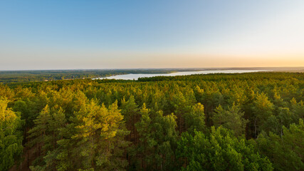 View of the lake Schwielowsee and vast forest area in Brandenburg, Germany seen from lookout platform Wietkiekenberg in early morning sunrise