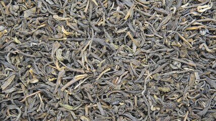 green tea large planom background