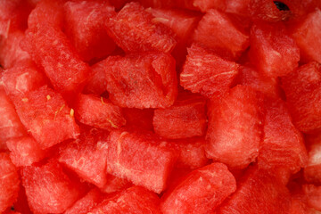 Watermelon Slices