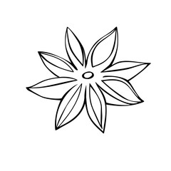 Hand drawn vector outline star anise in doodle style, isolated. Spice, clipart, ingredient, component for hot drinks, mulled wine and food. EPS 10.