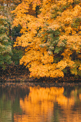 Autumn in the park