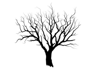 Black Branch Tree or Naked trees silhouettes. Hand drawn isolated illustrations, tree symbol style and white background. Can be used for your work.