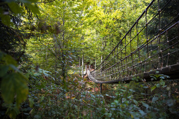 suspension bridge on the rothaarsteig trail in germany