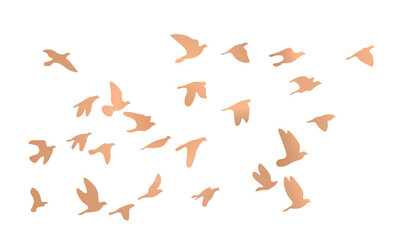 Flock of flying birds. Vector golden birds, stock illustration