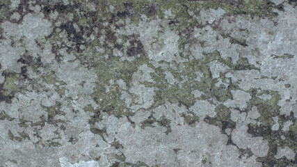 Gray rock mushroom stone texture for background, wallpaper, material for texture 3D