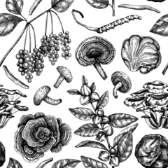 Medicinal plans and mushroom background. Hand-sketched adaptogenic plants seamless pattern. Perfect for recipe, menu, label, packaging. Botanical sketches for traditional medicine and Ayurveda