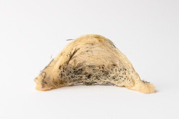 Chinese Edible Bird Nest isolated white background