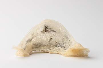 Chinese Edible Bird Nest isolated white background