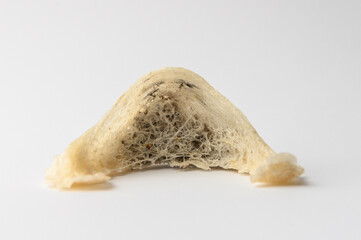 Chinese Edible Bird Nest isolated white background