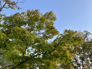 広い公園