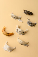 Different types of raw Borneo edible bird's nest 