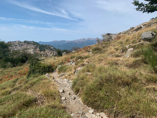 Fototapeta na wymiar Plaine sur le GR20 Sud Corse