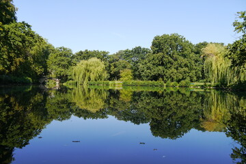 Obraz na płótnie Canvas Teich mit Wasserspiegelung im Georgengarten in Hannover