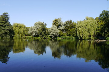 Fototapeta na wymiar Teich mit Wasserspiegelung