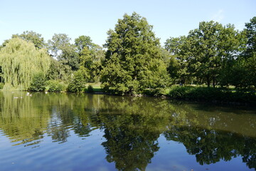 Fototapeta na wymiar Teich mit Wasserspiegelung in Hannover