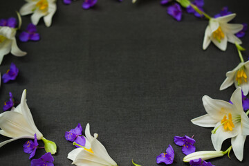 Obraz na płótnie Canvas lily buds on a dark gray background . top view, space for text 