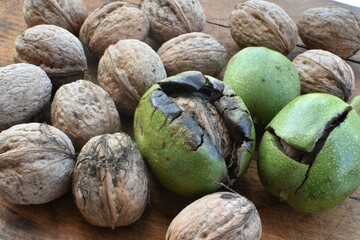 Green shelled walnuts and whole walnuts on a wooden table.  Green ripe walnut. Raw walnuts in a green nutshell, peel. Harvest walnuts.