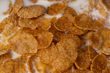 Breakfast of cornflakes with milk closeup