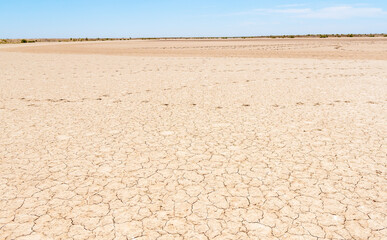 Fototapeta na wymiar Dry river bed. Drought climate disaster