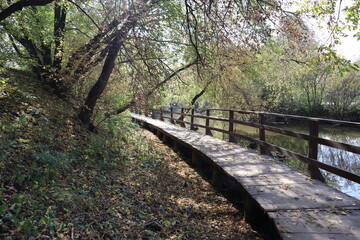 Wooden bridge along the river