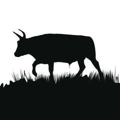 Cow graphic design template vector isolated illustration