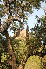 Fototapeta premium Côte d'Azur (Sud de la France): Mont Roux