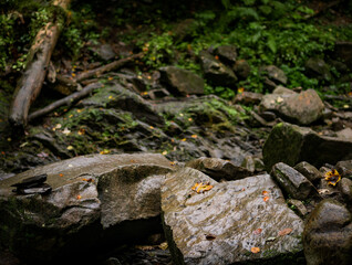 Obraz premium Pile of stones in the forest
