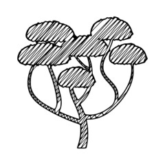 Umbrella acacia in scribble style
