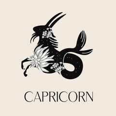Zodiac sign Capricorn. The symbol of the astrological horoscope.