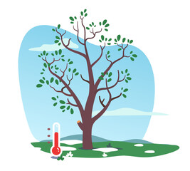 Obraz premium Spring tree plant with growing leaves