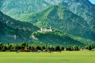 Kronjuwel in ländlichem Ambiente: Schloss Neuschwanstein