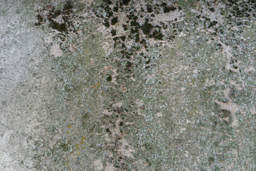 The texture of a stone wall, floors, concrete destruction, overgrown with moss and grass of antiquity, the foundations of building reinforcement and ceilings, chips, paint stains